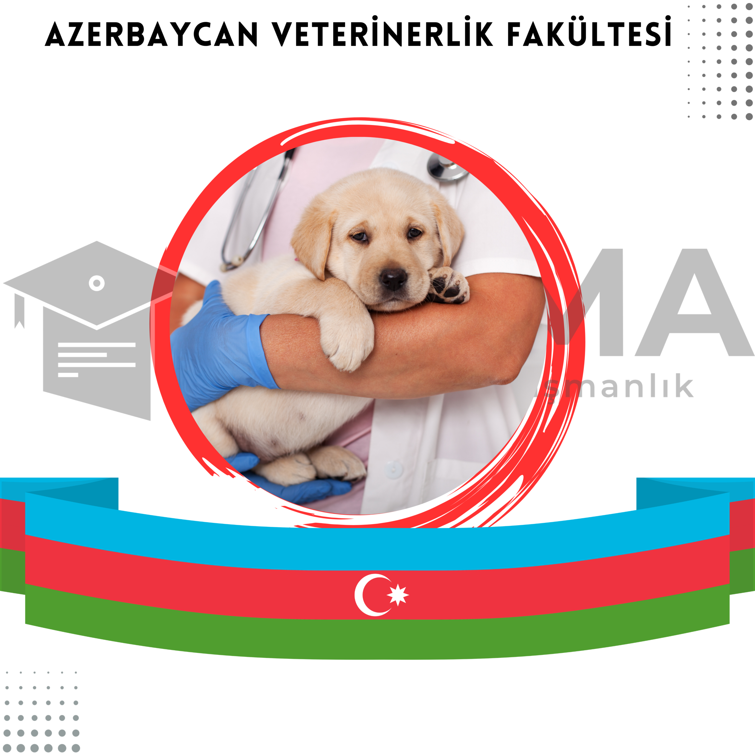 Azerbaycan Veterinerlik Fakültesi